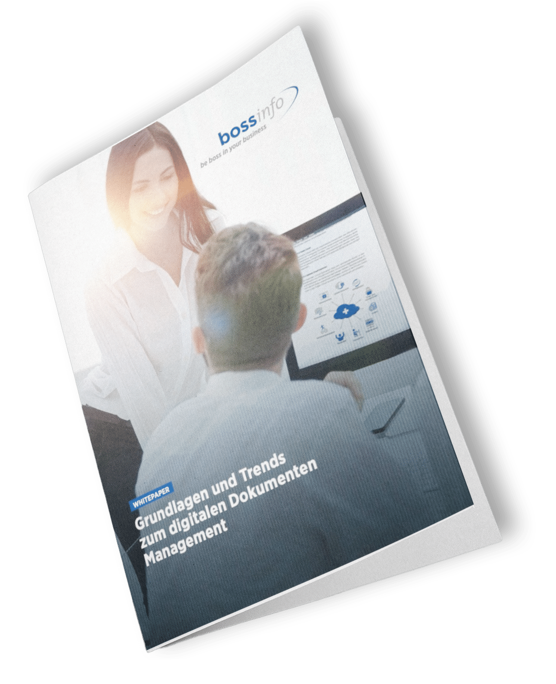 Whitepaper DMS