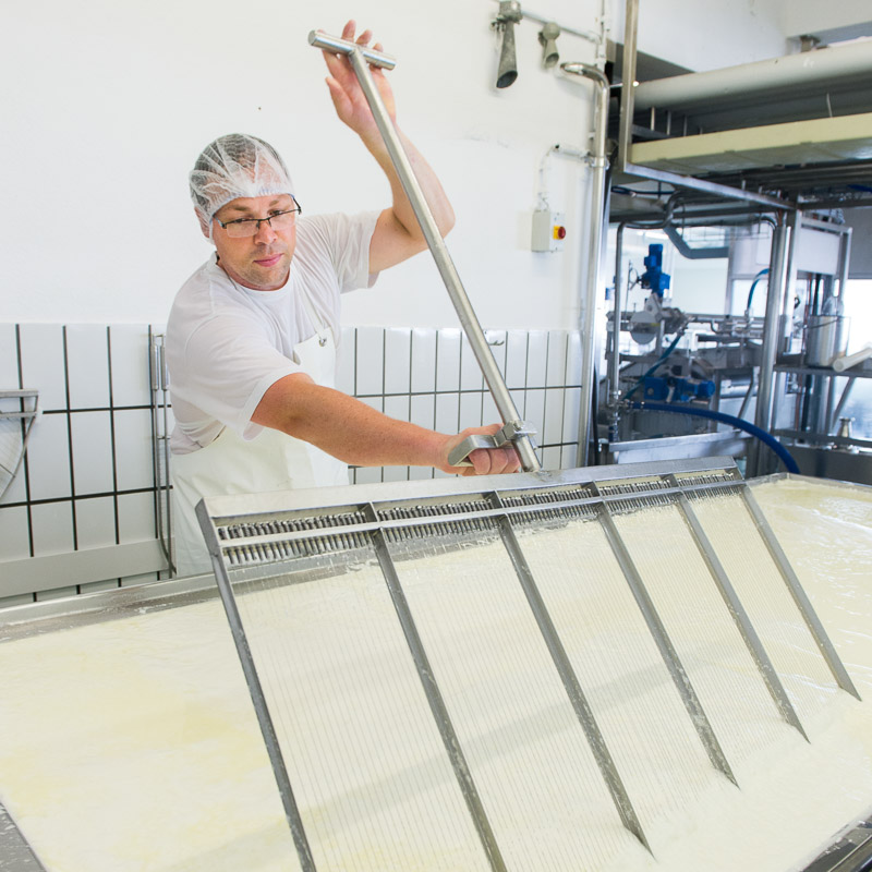 bonCas Weichkäse Produktion