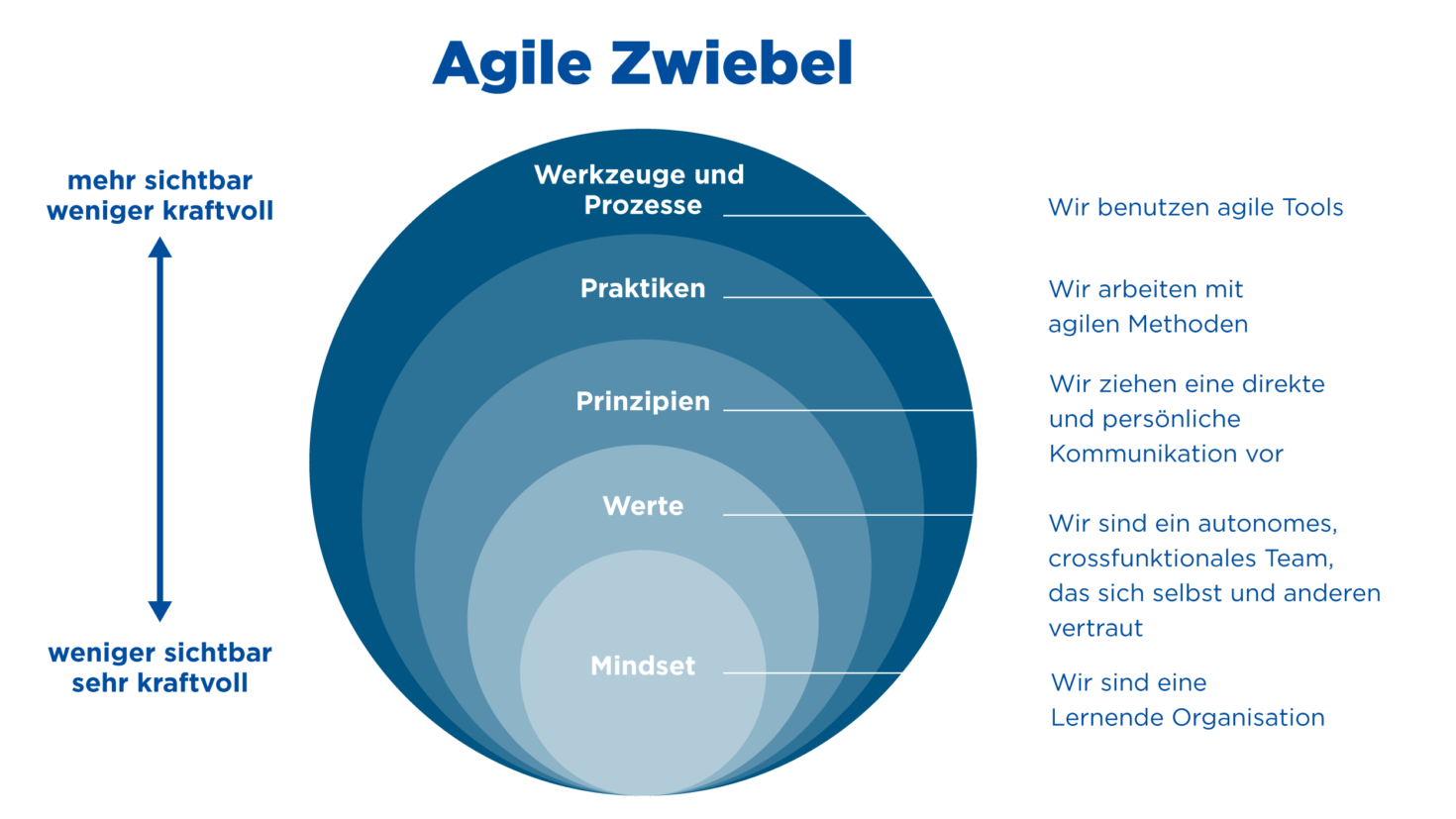 Agile Zwiebel