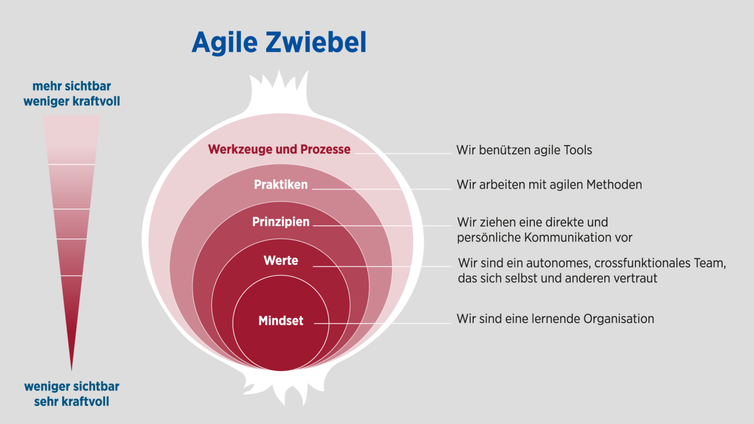 Agile Zwiebel